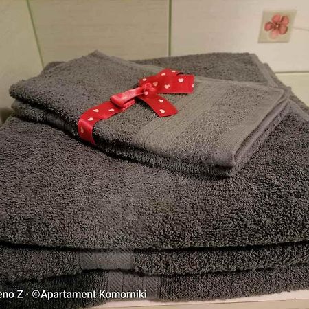 Apartament Komorniki 科莫尔尼基 外观 照片
