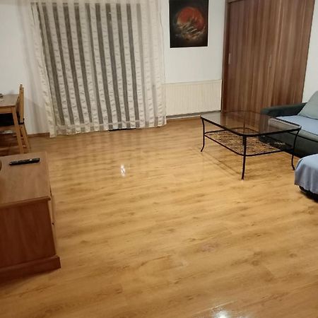 Apartament Komorniki 科莫尔尼基 外观 照片