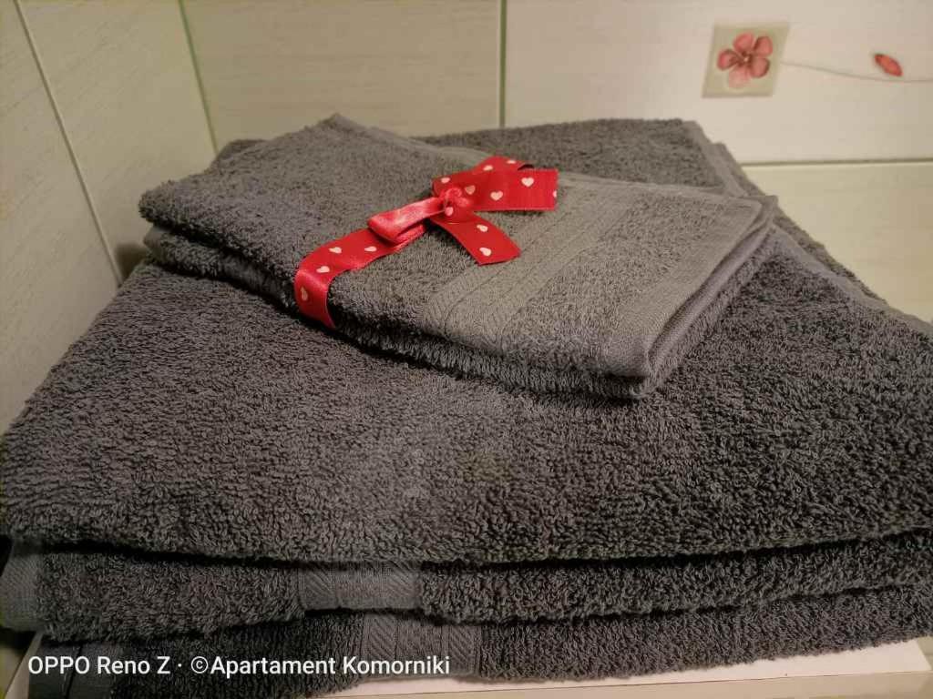 Apartament Komorniki 科莫尔尼基 外观 照片